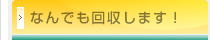 �Ȃ�ł�������܂��I/�s�v�i��� �Y�Ɣp��������^�� �Ɖ����